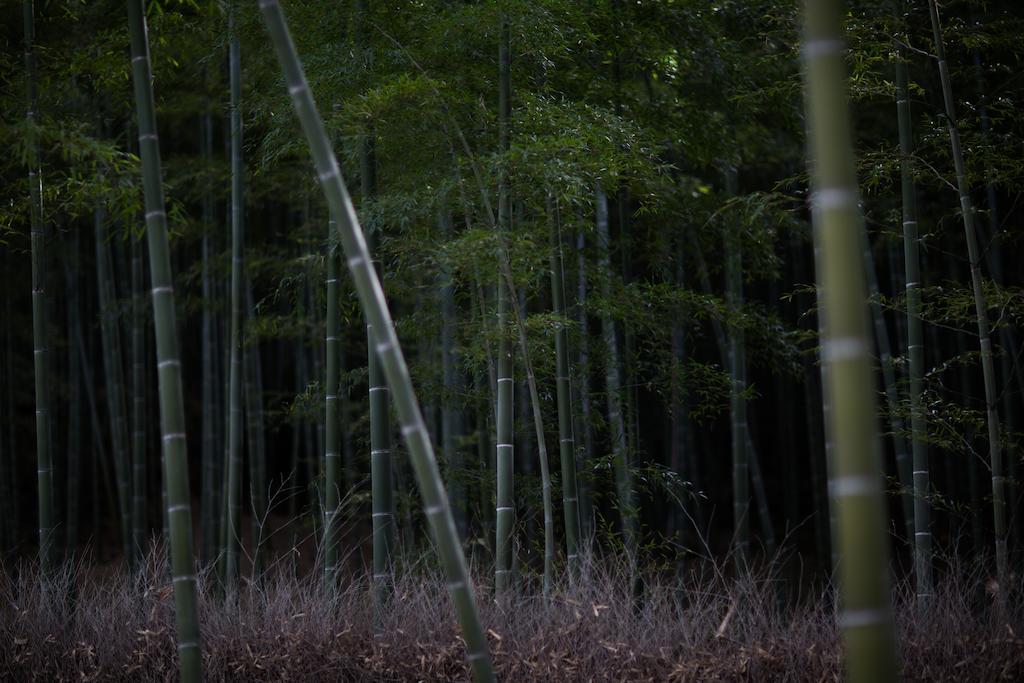 Kyoto Fushimi Ohana Muko Экстерьер фото